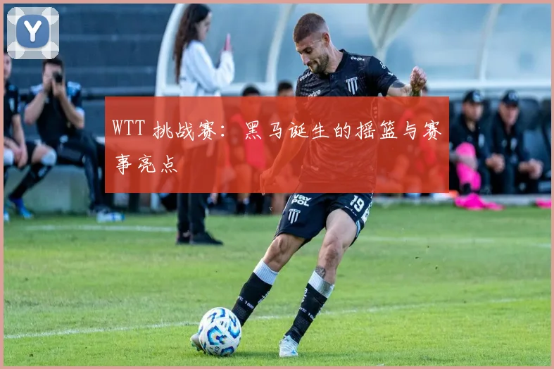 WTT 挑战赛：黑马诞生的摇篮与赛事亮点