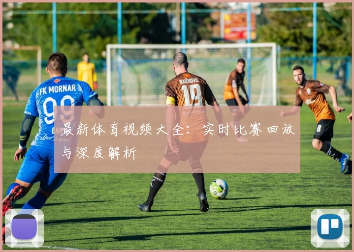 最新体育视频大全：实时比赛回放与深度解析