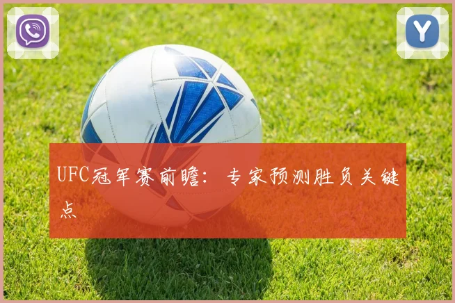 UFC冠军赛前瞻：专家预测胜负关键点