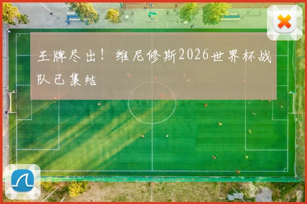 王牌尽出！维尼修斯2026世界杯战队已集结