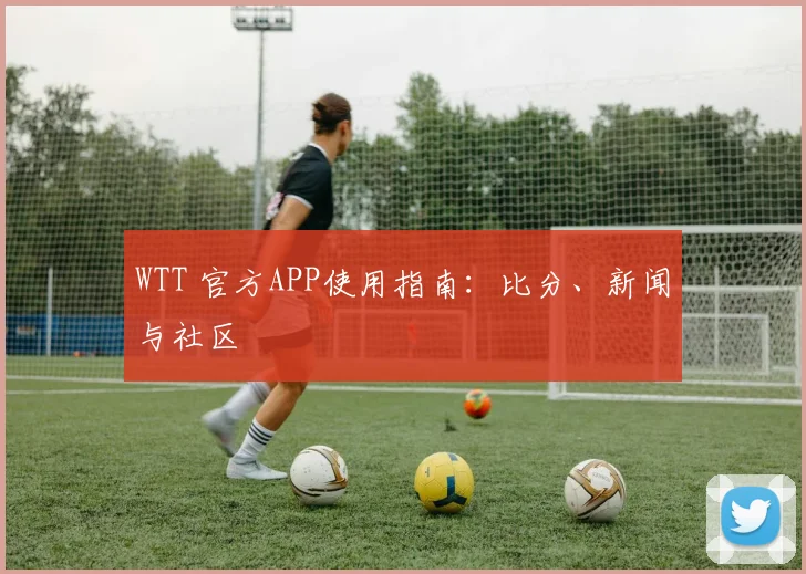 WTT 官方APP使用指南：比分、新闻与社区