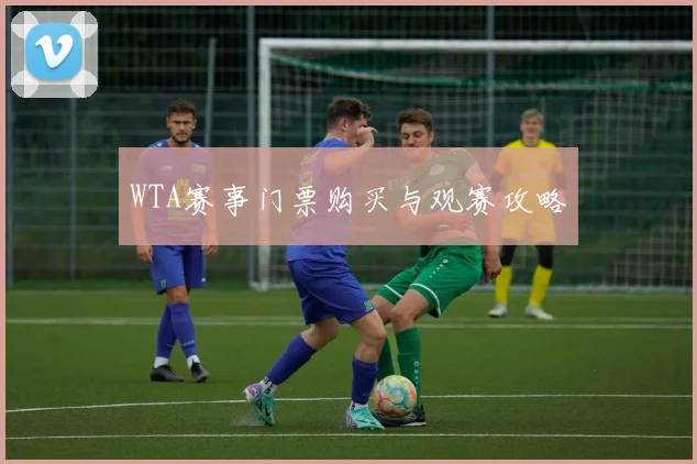 WTA赛事门票购买与观赛攻略