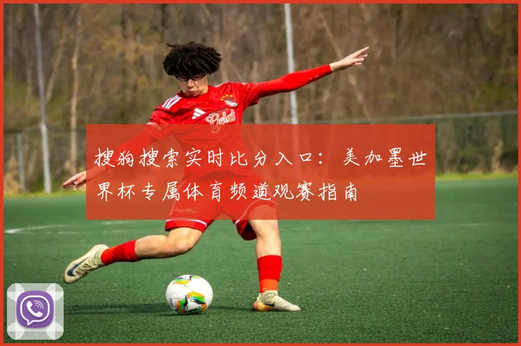 搜狗搜索实时比分入口：美加墨世界杯专属体育频道观赛指南