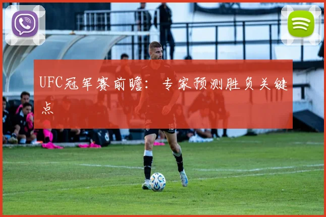 UFC冠军赛前瞻：专家预测胜负关键点