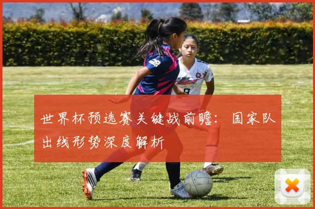 世界杯预选赛关键战前瞻：国家队出线形势深度解析