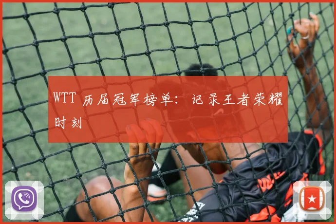 WTT 历届冠军榜单：记录王者荣耀时刻