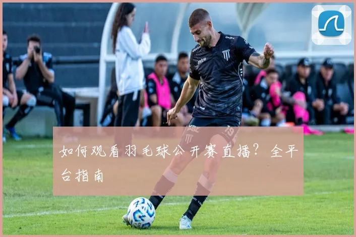 如何观看羽毛球公开赛直播?全平台指南